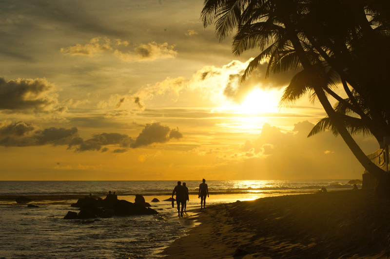 Caribbean Culture